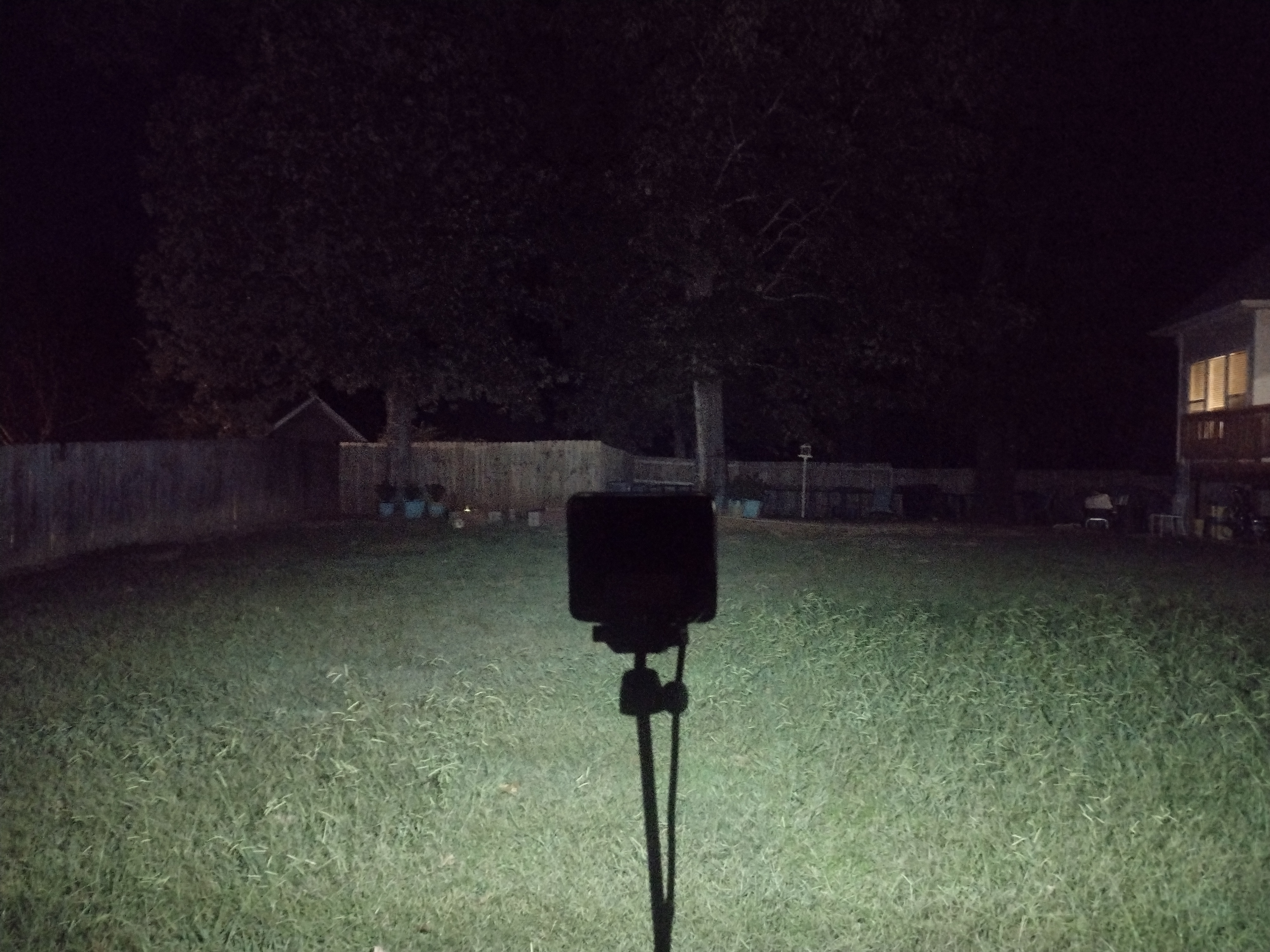 Backyard Illuminated By Floodlight